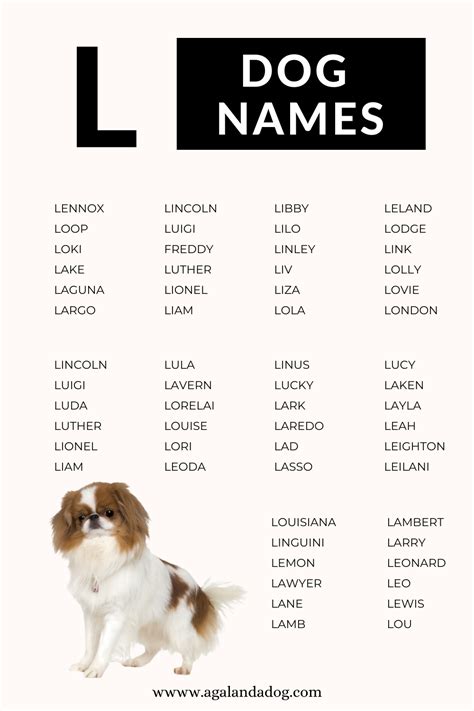 Get Ready to LOVE this list of L Dog Names! | Dog names, Puppy names, Names