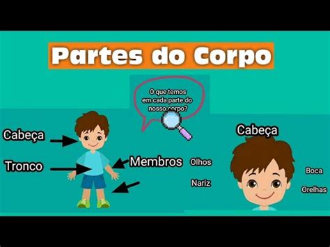 Cabeça Tronco Membros - As partes do corpo humano/ cabeça, tronco e membros. - YouTube