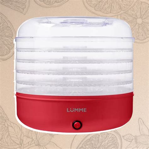 16 лучших сушилок для овощей и фруктов 2025: полный рейтинг - Я Покупаю