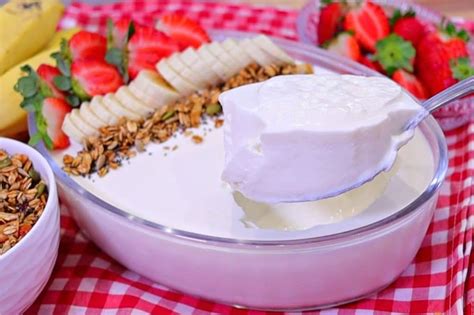 O Que Colocar No Iogurte Natural - Iogurte Natural Caseiro: saudável, cremoso e fácil de preparar