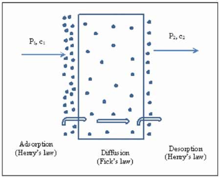 1 Basic mechanism of gas and vapor permeation through a packaging film. | Download Scientific ...