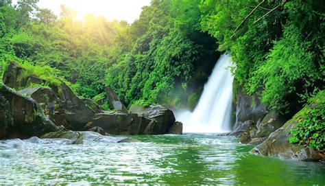 Una Cascada En La Jungla Con Rboles Verdes Y El Sol Brillando Sobre