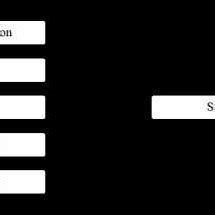 conceptual framework chart  scientific diagram