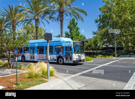 Octa Bus Map