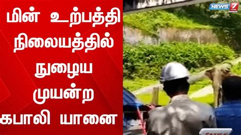 சோலையார் அணையில் உள்ள மின் உற்பத்தி நிலையத்தில் நுழைய முயன்ற கபாலி யானை