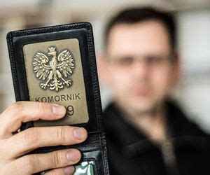 Wakacje W Pe Ni Gor Ce Laski W Bikini Pr Swoje Cia A Zdj Cia Super Express Wiadomo Ci