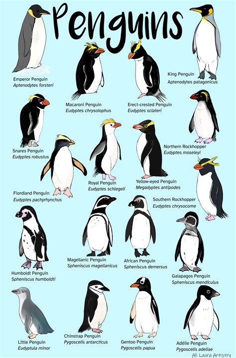 Penguins A5 Sized Print Etsy Uk Penguin Illustration Penguin