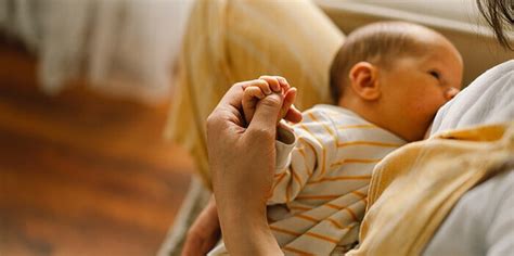 Les allergies alimentaires chez bébé Univers Pharmacie