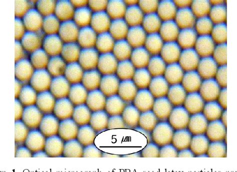 Figure 1 From Morphology Of Poly Butyl Acrylaye Poly Methyl