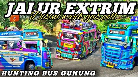 Efek Banyak Sewa Bus Gunung Pada Tancap Gass Di Tikungan Hunting