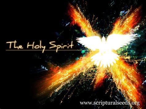 Power Of The Holy Spirit Scriptural Seeds Ministries