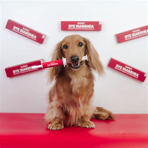 Good Gut Bye Diarrhea Gel – The Sleek Hound