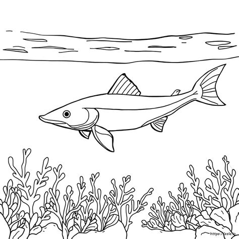 Sturgeon Coloring Page