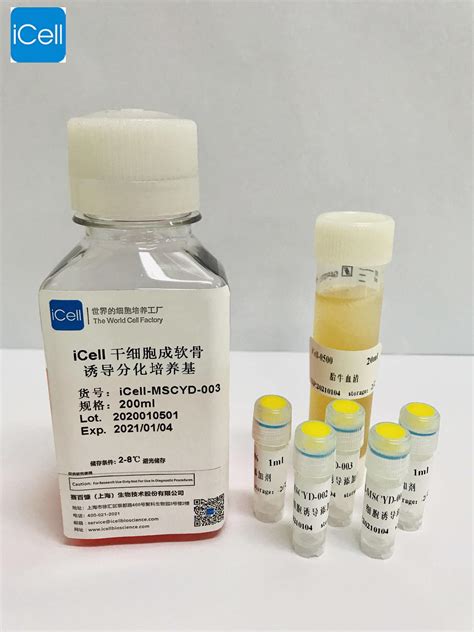 Icell间充质干细胞成软骨诱导分化试剂盒赛百慷上海生物技术股份有限公司