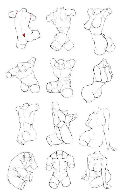 Character Anatomy Artofit