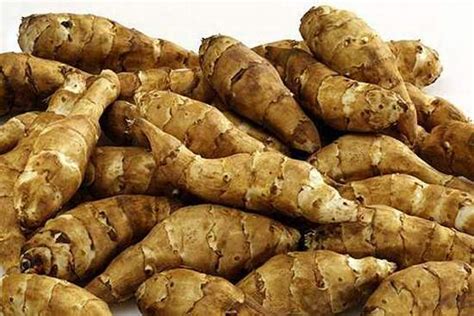 Библейский Израиль - Топинамбур (земляная груша)