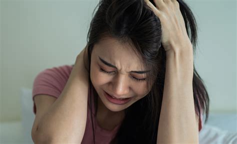 Brain Fog - True Harmony