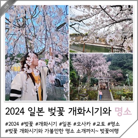 2024 일본 벚꽃 개화시기 오사카 교토 벚꽃 명소 여행 가볼만한곳 네이버 블로그