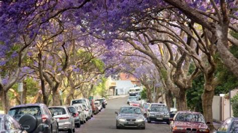 Try before you buy: Why renting is the key to finding your ideal suburb