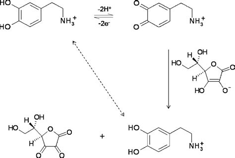 Scheme Mechanism Of The Electrocatalytic Oxidation Of Ascorbic Acid