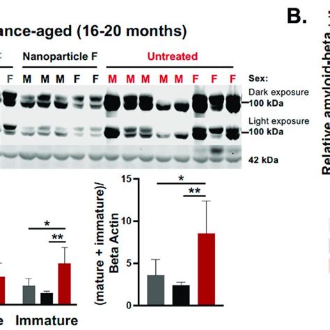 IV Injection Of Nanoparticle F Reduces ACAT Activities In Both Adrenal