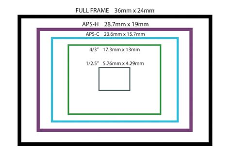 Fundamentos De Fotografía Formatos Y Sus Características