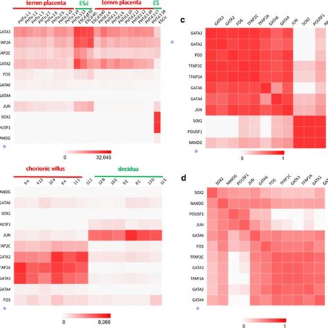 A Heatmap Visualization Of The Expression Level Of Tfs In The Rna Seq