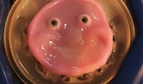Japanese Scientists Develop Robot Face Grown From Human Skin Cells