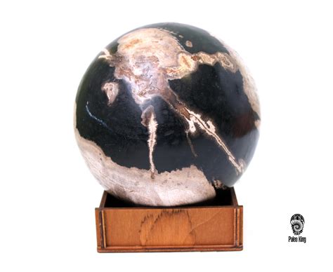 Шар из окаменелого дерева - Paleoking