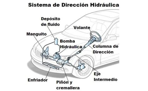 Esquema Del Sistema Muscular Con Los Nombres De Sus P