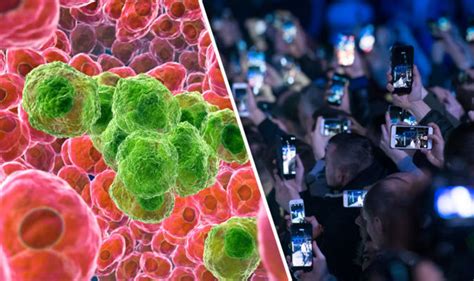 Cancer Warning Scientists Find ‘clear Evidence Mobile Phone Radiation