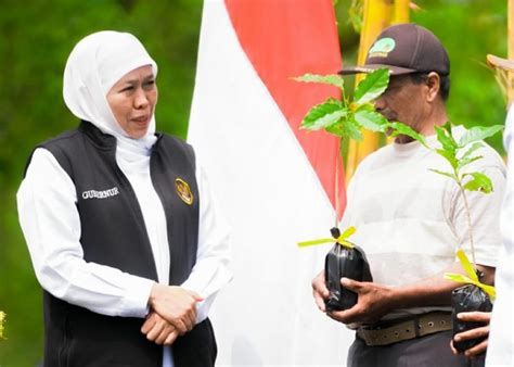 Khofifah Launching Kawasan Pedesaan Agroforestri Kopi Lereng Gunung