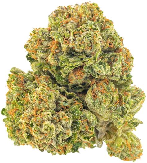 Skywalker OG Indica Dominant Hybrid – Canna-Express