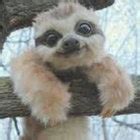 Under The Covers Volume Ii Ninja Sex Party