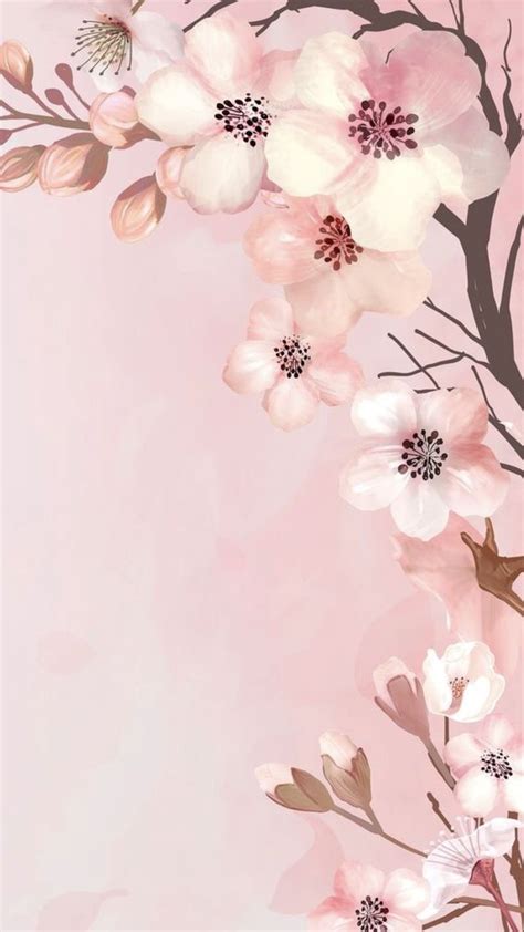 Pin By Dany On Wallpapers IPhone Flower Background Wallpaper Flower