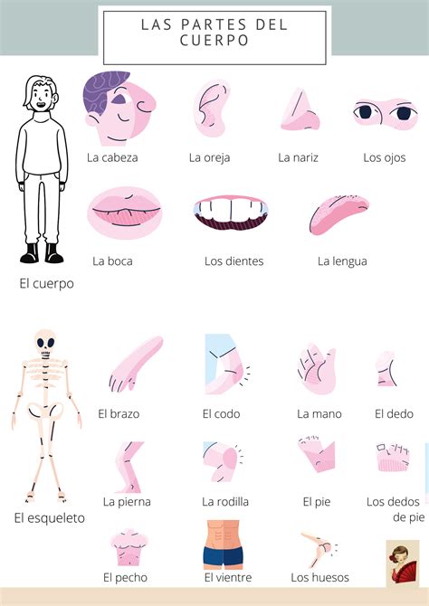 Todos adictos al español Fiche vocabulaire El cuerpo