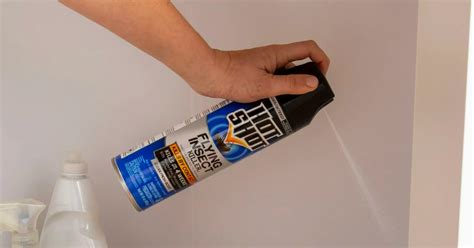 Hot Shot Flying Insect Spray 15oz Only 2 97 On Amazon Or Walmart Hip2Save