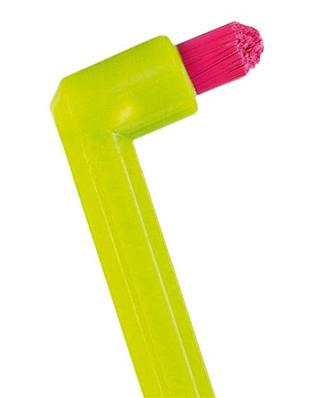 Above And Beyond Brushing — Homegirl Hygienist