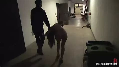 The Training Of Devi Lynne Day Two Brunette Porn By Faphouse Xhamster