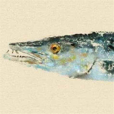 Barracuda Gyotaku Fish Rubbing Limited Edition Print X Etsy