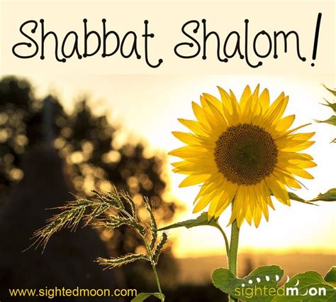 Pin On Shabbat Shalom