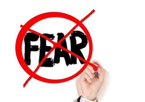 fears  phobias seren therapies