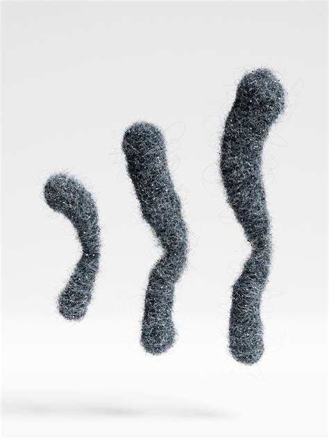 Y Chromosome Toxicity Does Not Contribute To Sex Specific Differences In Longevity Ibv