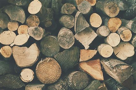 Безкоштовне завантаження | дерево, матеріал, вогонь, опік, штук, річний ...