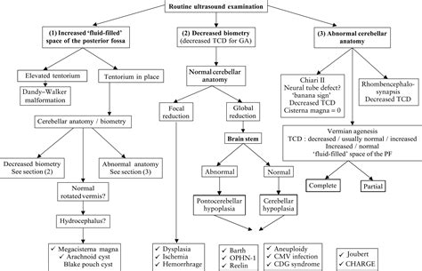 Posterior Fossa Syndrome Prognosis - mapasgmaes