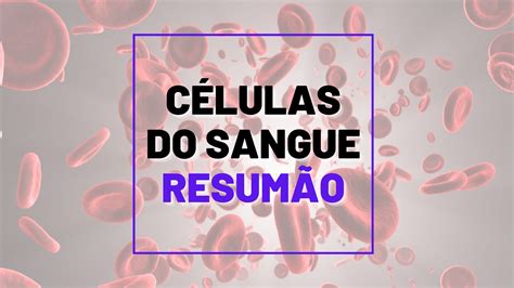 C Lulas Do Sangue E Suas Fun Es Hematologia Na Bancada