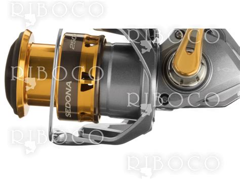 Shimano SEDONA FI from fishing tackle shop Riboco