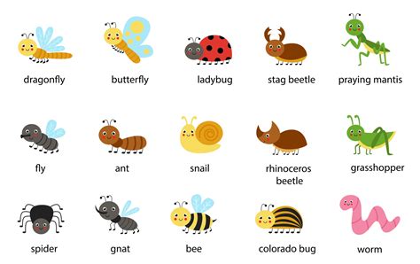 Set of cute cartoon insects with names Vector illustrations 2564939 ...