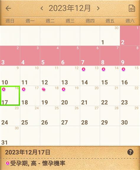 Sex Sticky Rice Love