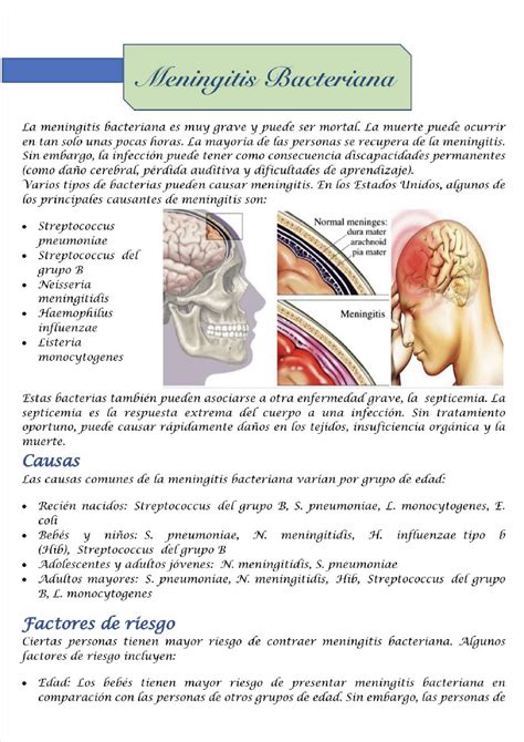 Meningitis Bacteriana Infectolog A Studocu